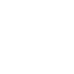 12001_Skill_Support.png